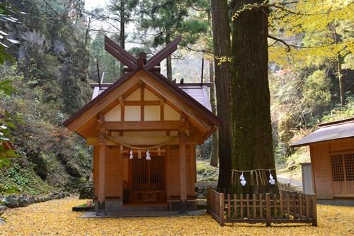 黄色い落ち葉が敷き詰められた境内にある秋元神社の本殿の写真