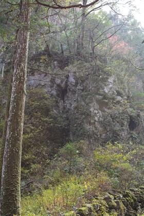 社殿裏の岩山  昔山伏が修業したと言われる洞窟が森の中の岩場に見える写真