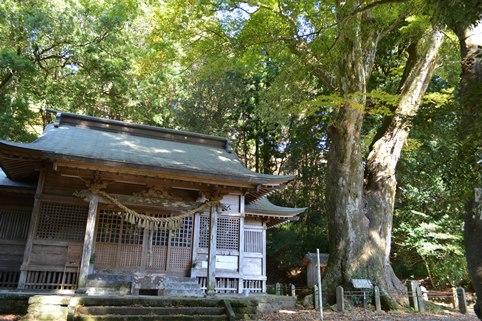 下野八幡大神社の外観を撮影した写真