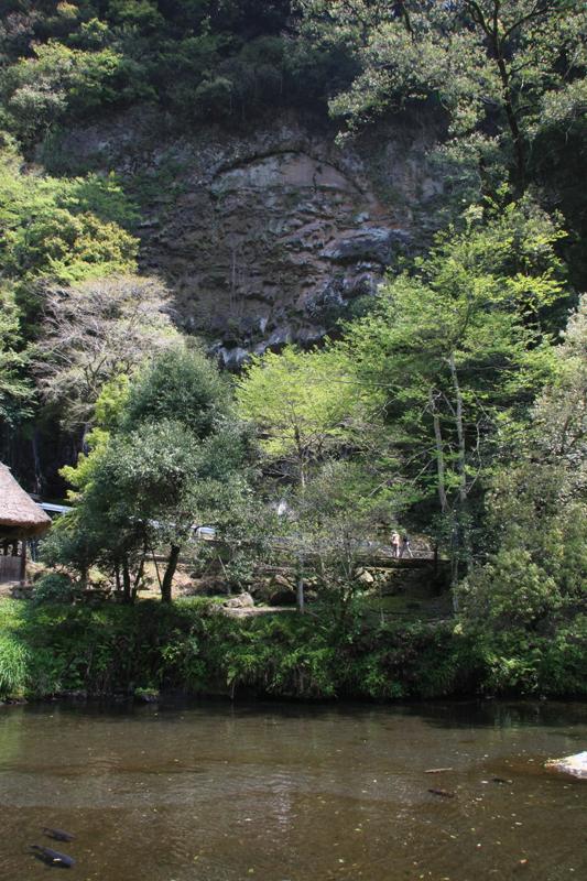 生い茂る木の間の岩肌にある月形の写真