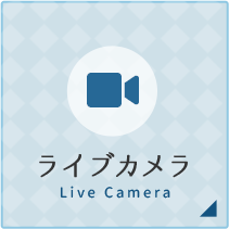 ライブカメラ Live Camera